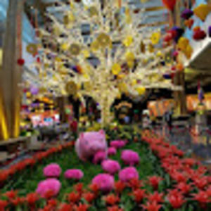 Meet your Posher, Cherry